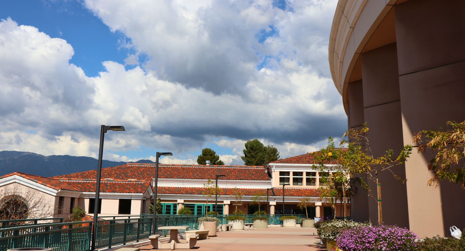 Library Patio