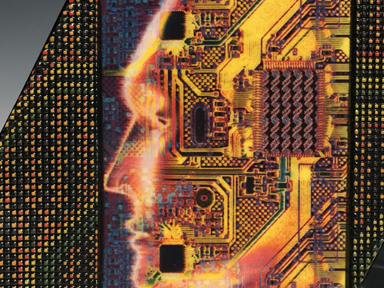 Kibler DIGITAL MAN DETAIL