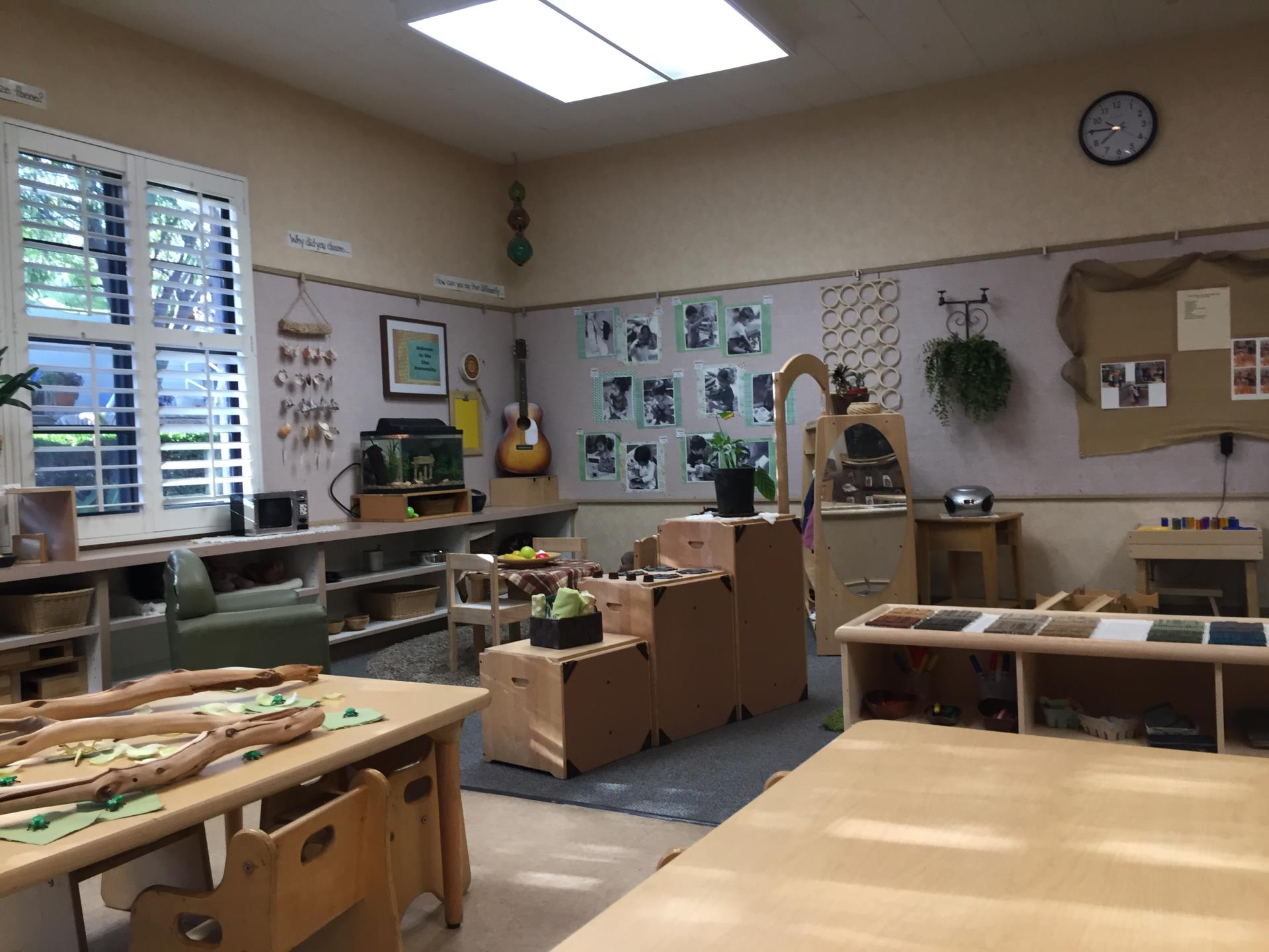 Dinosaur Classroom - Ages 2-3 years old
