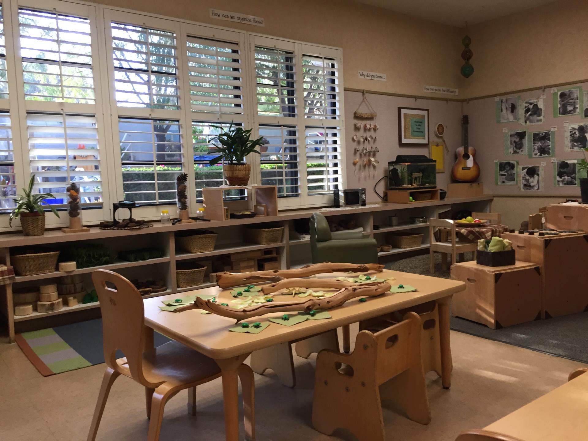 Dinosaur Classroom - Ages 2-3 years old